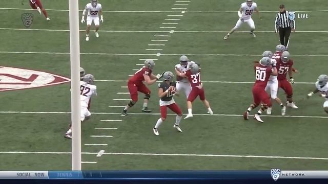 WSU Football: Crimson & Gray Spring Game Highlights 4/24/21 смотреть онлайн