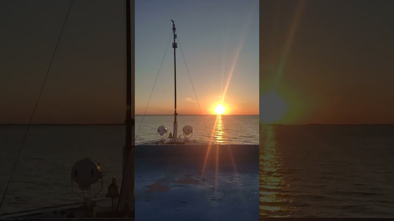 14 мая 2023 г. смотреть онлайн