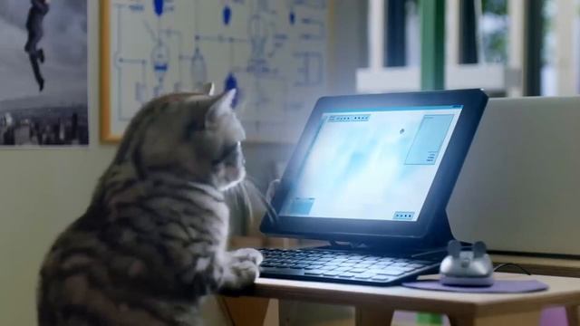 Реклама WHISKAS КТУ - кошачий университет смотреть онлайн