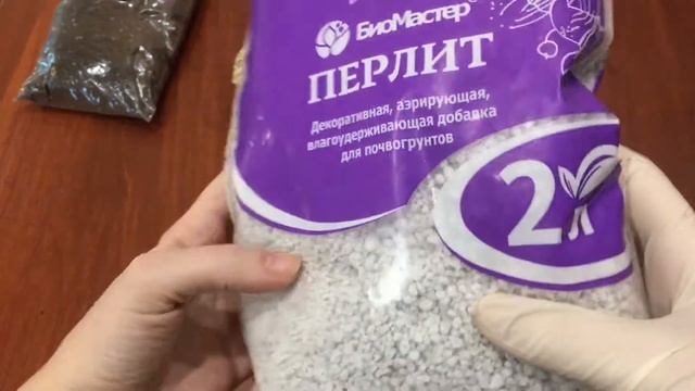 Фиалки, грунт для фитильного полива смотреть онлайн