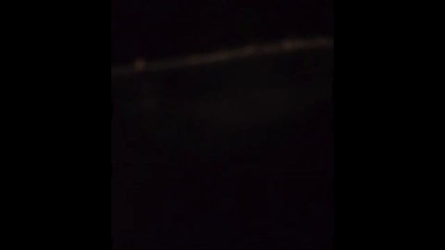 фантастические #твари..в реале...