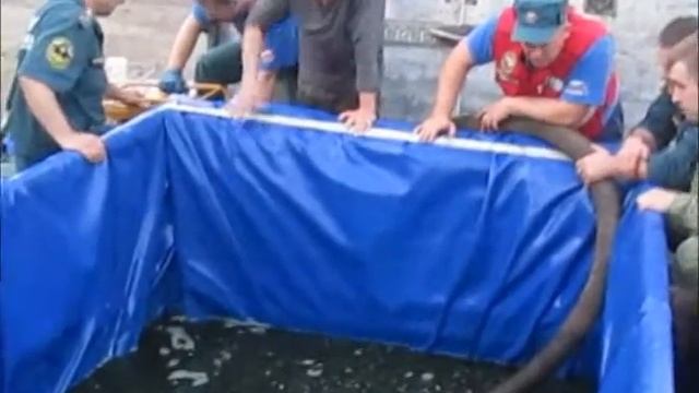 Спасение белух пожарными из Тульской области смотреть онлайн