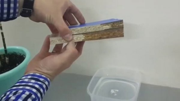 Эггер и Ламарти против воды, EGGER & Lamarty