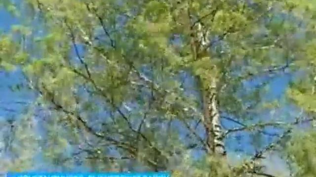 Рязанская область представит свой символ на 'Аллее России' смотреть онлайн