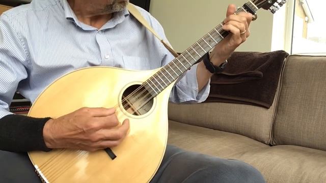 The Foggy Dew (Arr Dominique Rivière) - Octave Mandolin смотреть онлайн