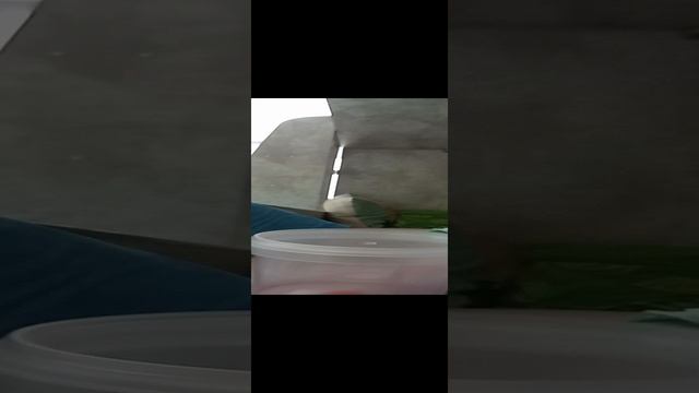 Проект стиралки