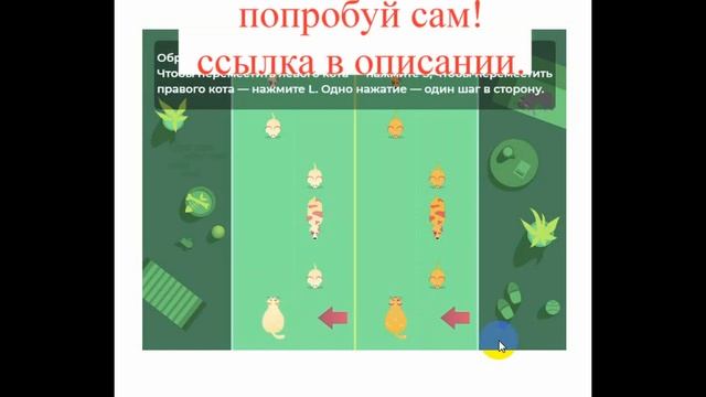 развитие памяти и внимания, упражнения для развития памяти и внимания, тренировка мозга и памяти смотреть онлайн
