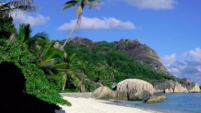 PURO SAXO INSTRUMENTAL смотреть онлайн