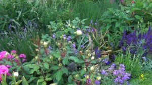 Прекрасный сад, созданный руками флориста // Обзор сада в июне // лето 2023