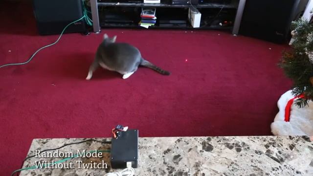 Automated Cat Laser Pointer - LaserPi смотреть онлайн