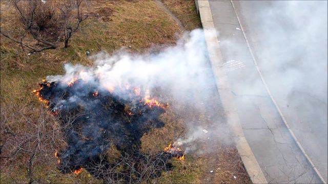 Беспечность – причина пожаров в лесах Сибири! смотреть онлайн