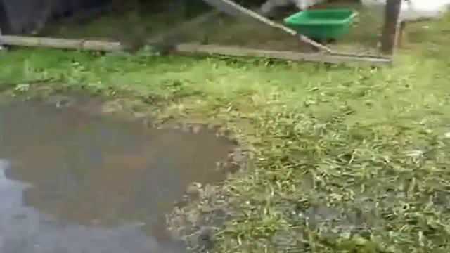Водоем для гусей своими руками 2 часть смотреть онлайн