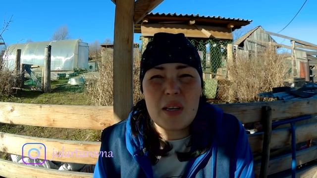 Попала на деньги. Продали старое яйцо. Про уток // VLOG 13// Мое хозяйство смотреть онлайн
