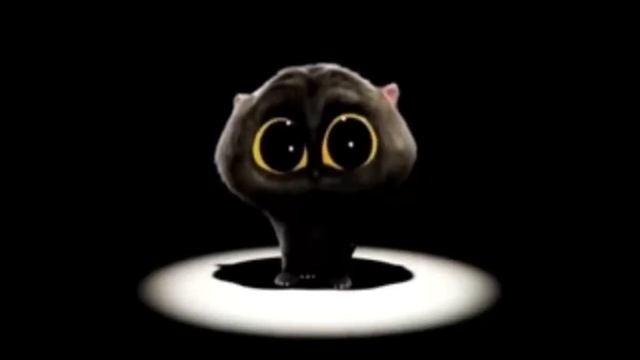 Cat Dancing To Scatman For 10 Hours! (Live) смотреть онлайн
