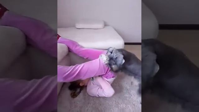 Неугомонный Тайк и Полинка смотреть онлайн