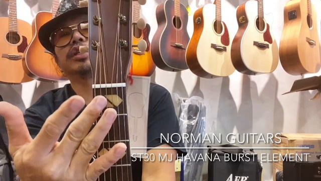 UNBOXING NORMAN ST30 MJ HAVANA BURST ELEMENT (Full Solid Body) смотреть онлайн