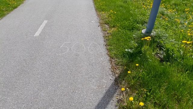 III бег двух мостов 2021. Дистанция 1 км. смотреть онлайн