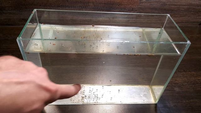 КЕРАМЗИТ В АКВАРИУМЕ. МОЖНО ИЛИ НЕТ? смотреть онлайн
