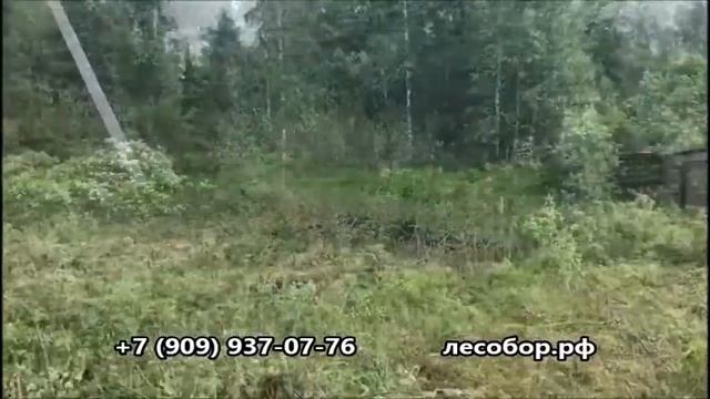 Расчистка участка в Московской области смотреть онлайн