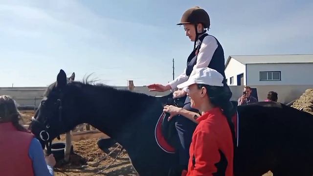 Лошади.mp4 смотреть онлайн