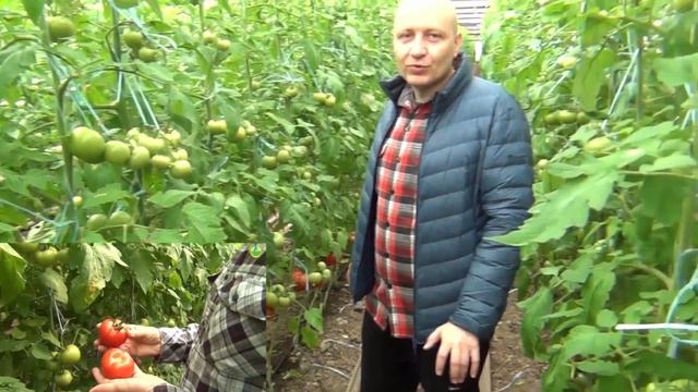 Как получить хороший насыщенный цвет смотреть онлайн