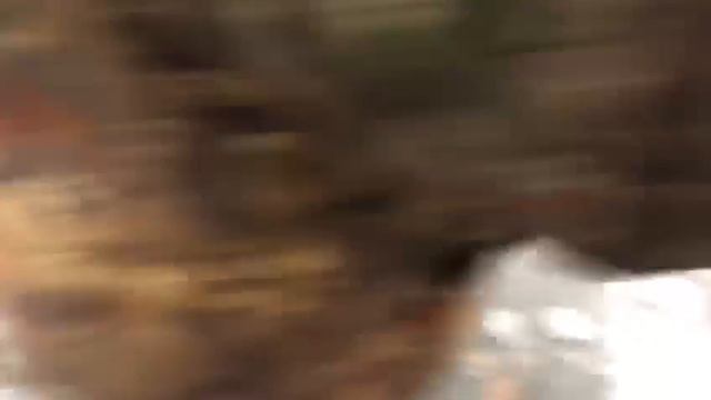 Рыбалка у Бородина(2) смотреть онлайн