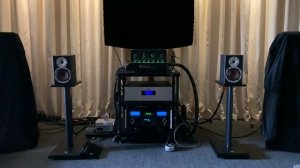 Dali Spektor 1 speaker