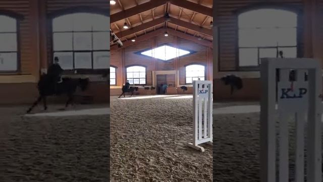 Аня и Ардпатрик 08.04.2021 смотреть онлайн