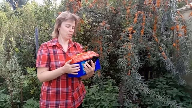 Детские стихи: Жизнь пойдёт у нас на лад смотреть онлайн