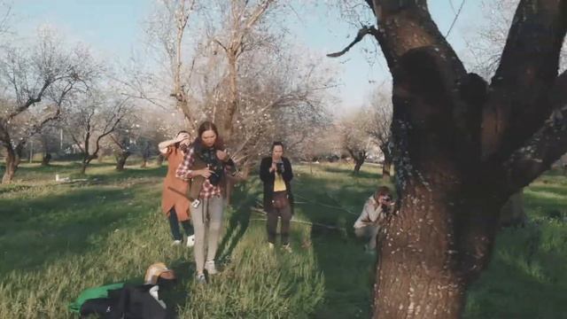 Как цветёт миндаль в Турции Воркшоп в миндальных садах / смотреть онлайн