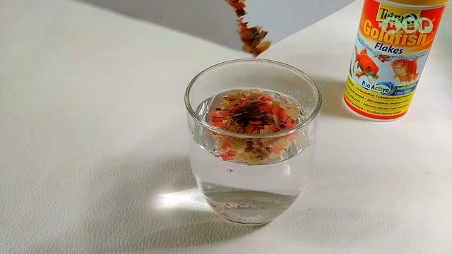 Кормлю живородящих рыбок кормом для золотых! смотреть онлайн