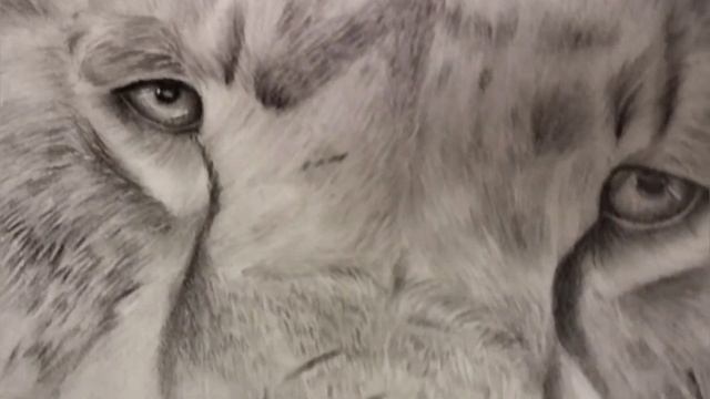 my most hyper realistic sketch ever lion sketch @vk art box❤️ смотреть онлайн
