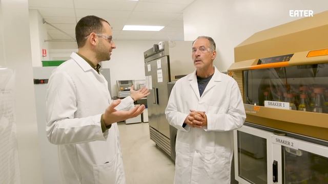 How Impossible Foods Created the Perfect Meatless Burger— Cult Following смотреть онлайн