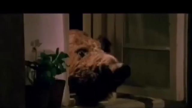 Буктрейлер В Быковской к книге Чучело проба пера смотреть онлайн