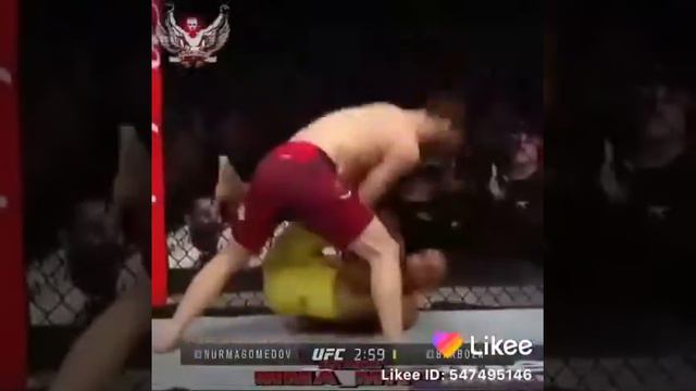 хабиб эдсон барбоза смотреть онлайн