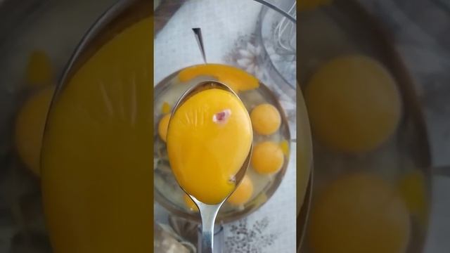 Развитие цыплёнка 2сутки - зародыш в яйце. смотреть онлайн
