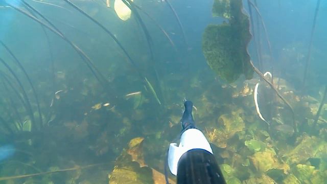 Подводная охота 07 - 20 Под музыку Electro - Light - Symbolism MFY~2 смотреть онлайн