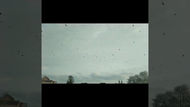 Плачет горько погода. Автор стихов Инна Якуш. Поэзия души смотреть онлайн