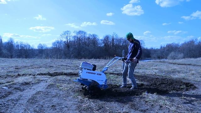 Начал пахать землю мотоблоком НЕВА в первый раз . смотреть онлайн