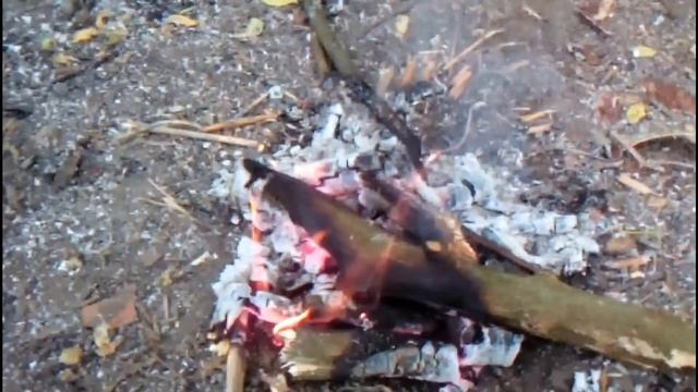 Выживание.Как сделать факел из бересты смотреть онлайн