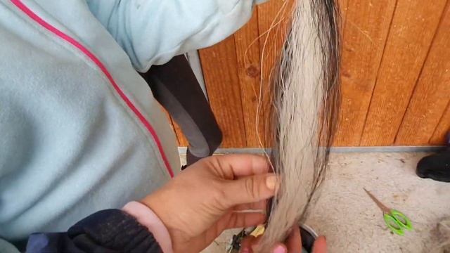 жизнь на конной ферме| школа верховой езды | Швейцария смотреть онлайн