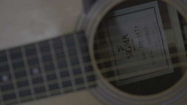 SIGMA DT-1ST смотреть онлайн