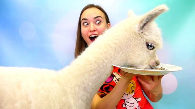 Еда против Мармелада - ОПАСНЫЙ ЧЕЛЛЕНДЖ! МАМА ПЛАЧЕТ! Real Food Vs Gummy Food - EXTREME CHALLENGE!