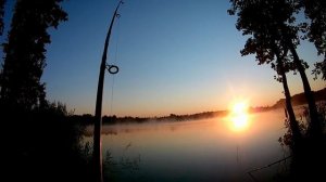 Отличная рыбалка - Лещи и Караси на Фидер в Шатуре на озере Белое Святое