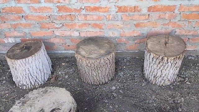 Гребëмся как куры. Новый, старый стул. Суп - галушки на обед. смотреть онлайн