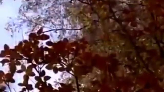 Шокирующие стихи .. смотреть онлайн