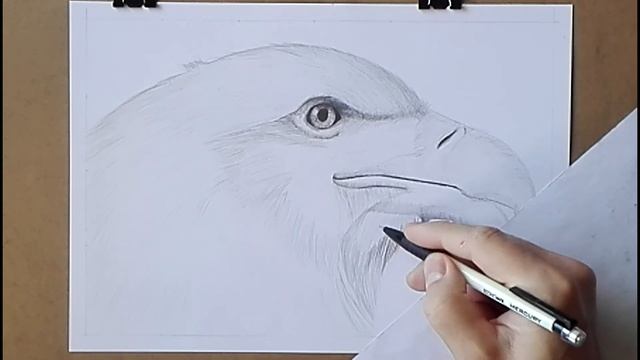 як намалювати орла графітовим олівцем покроково смотреть онлайн