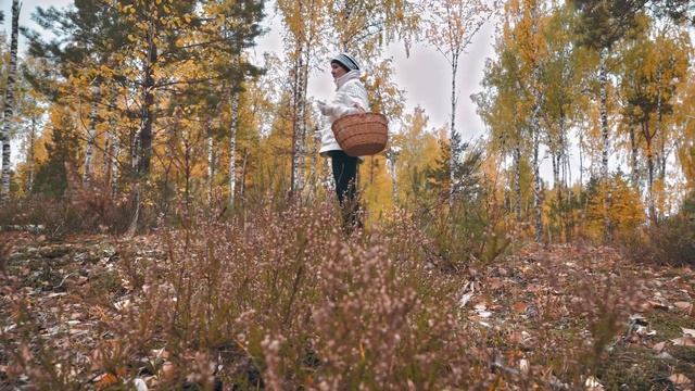 Выезд с семьей за грибами. Безумная красота в лесу смотреть онлайн