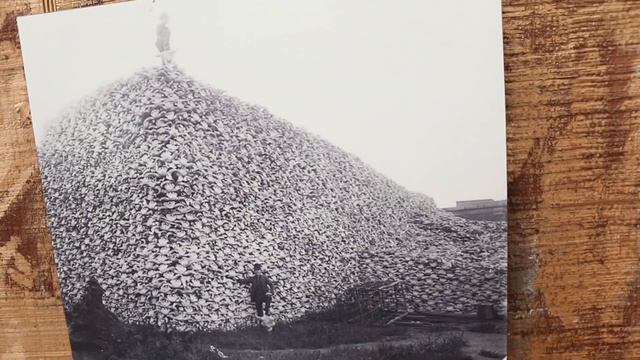 США ВЛОГ Хэллоуин в зоопарке Раздавали конфеты Кормили жирафов