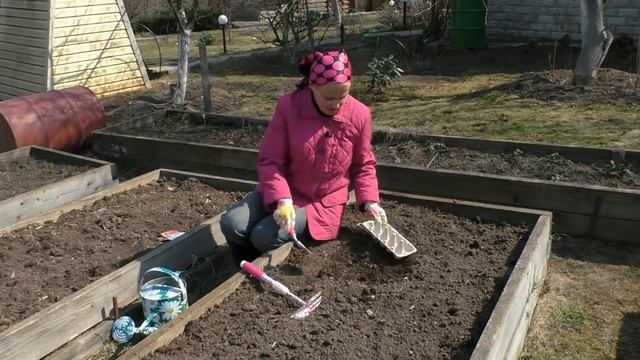 Редис: стоит ли сеять его "яичным" способом смотреть онлайн